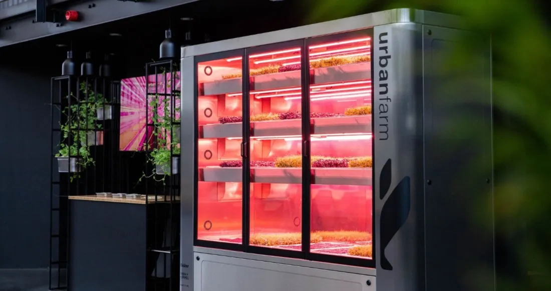 microgreen rack mit beleuchteten Anzuchtschalen für die Aufzucht in der Küche